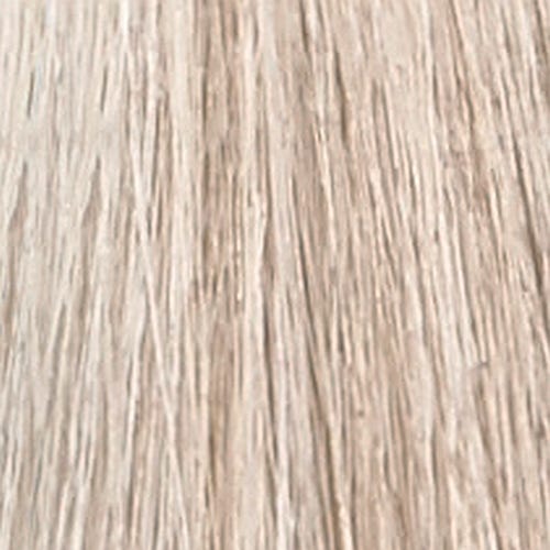 12056406-Farbe-10.1 ash platinumn lightest blond