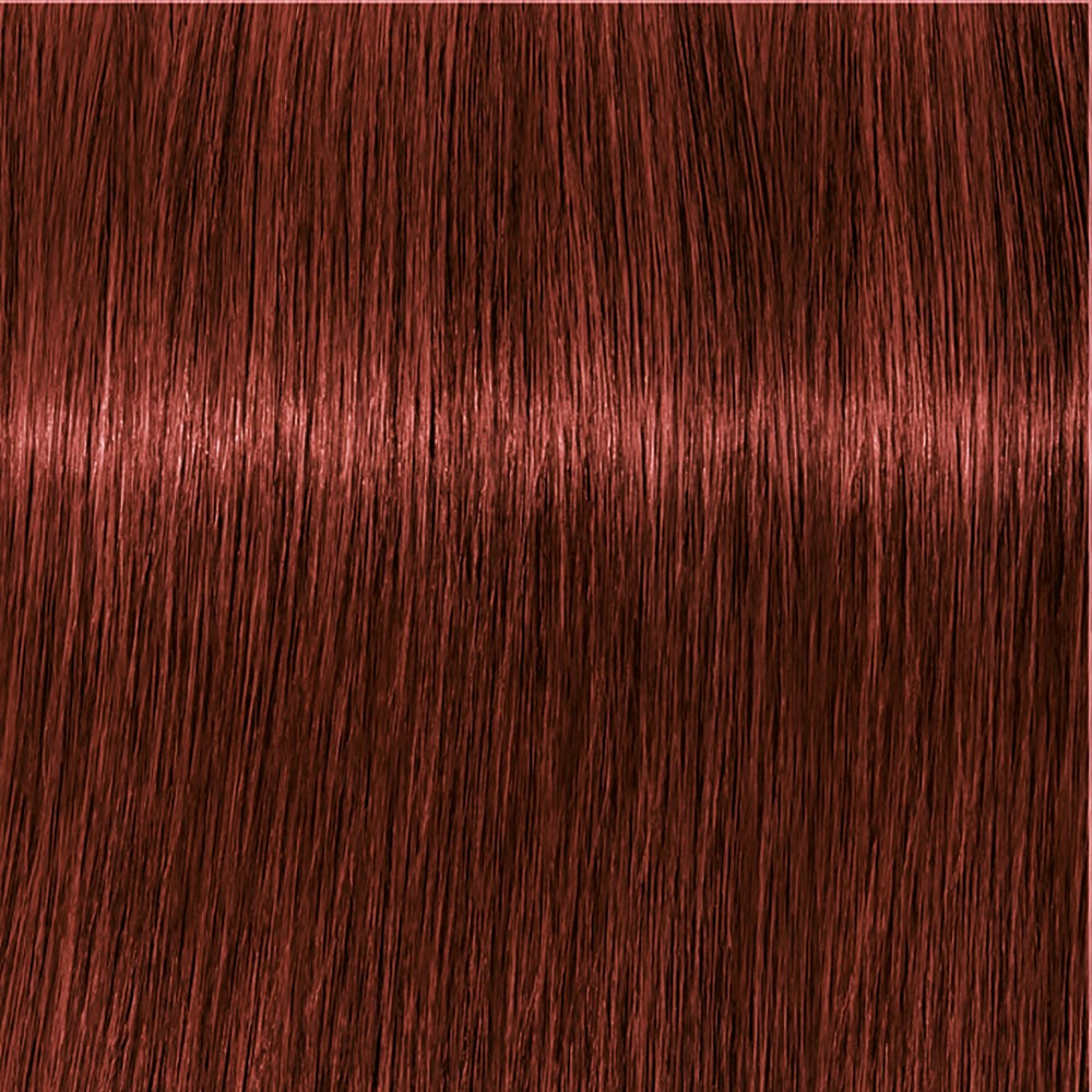 12030165-Farbe-SK IR A 6-80 dunkelblond rot