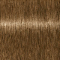 SK IR A AB 8-140 hellblond cendré beige