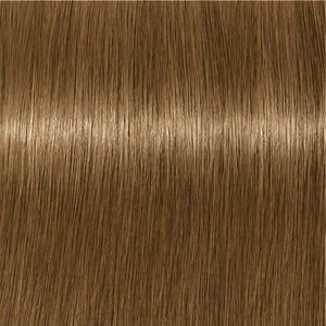 SK IR A AB 8-140 hellblond cendré beige