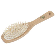 Braun&Wettberg Bürste groß, oval VEGAN