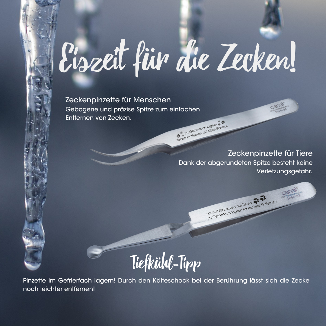 Canal Zeckenpinzette für Tiere rostfrei 120 mm