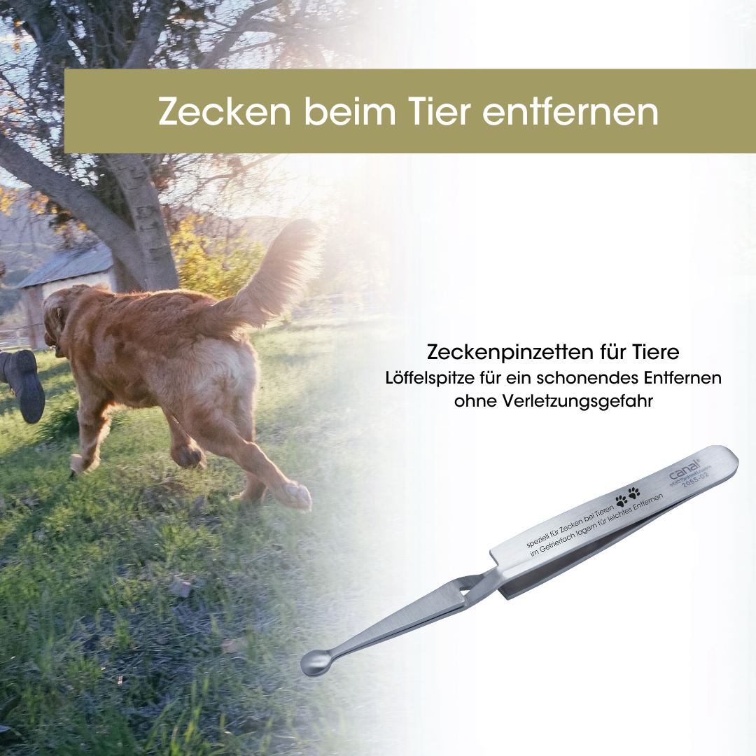 Canal Zeckenpinzette für Tiere rostfrei 120 mm