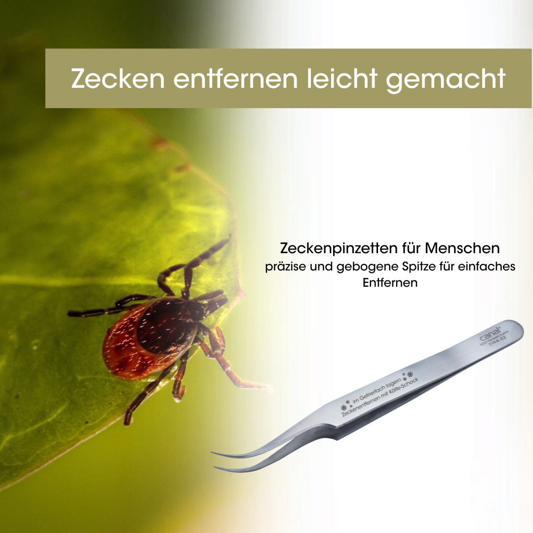 Canal Zeckenpinzette für Menschen rostfrei 110 mm