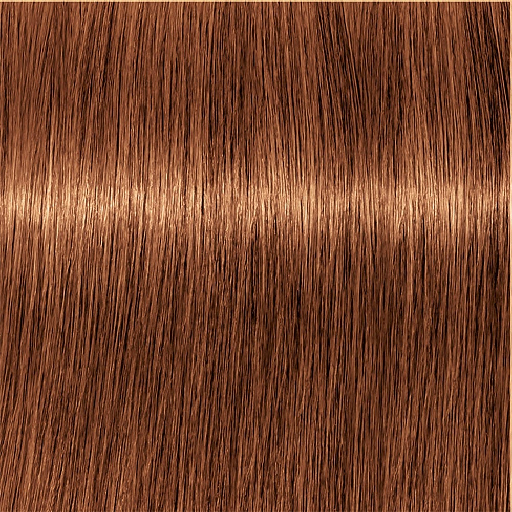 Schwarzkopf IGORA Royal Take Over 7-76 60 ml