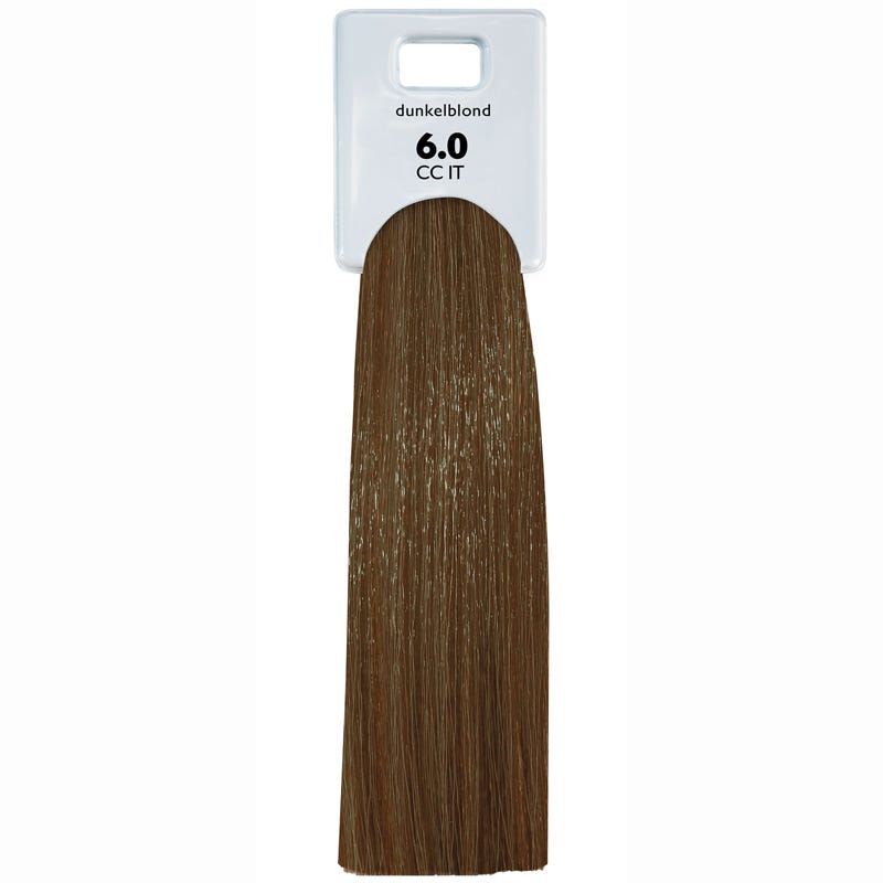 12064866-Farbe-6.0 Dunkelblond