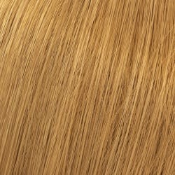 12065460-Farbe-Lichtblond Natur Gold 9/03