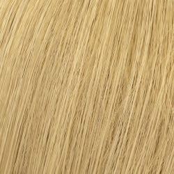 12065467-Farbe-Hell Lichtblond 10/0