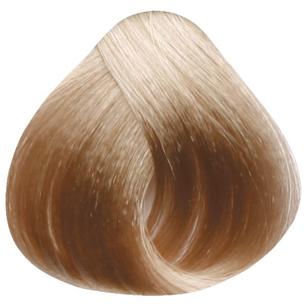 12068101-Farbe-10/1 Platinblond asch