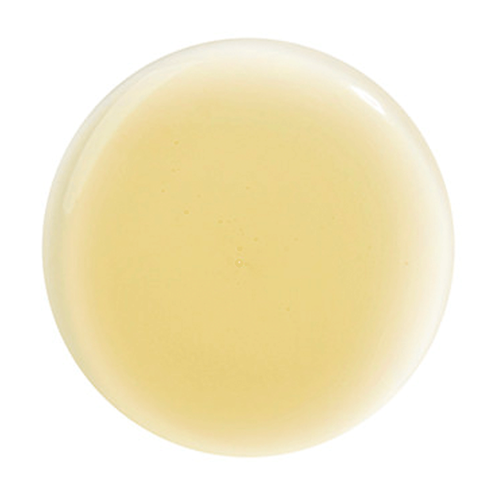 HAIR RITUEL by SISLEY Soin Lavant Revitalisant Lissant 200 ml