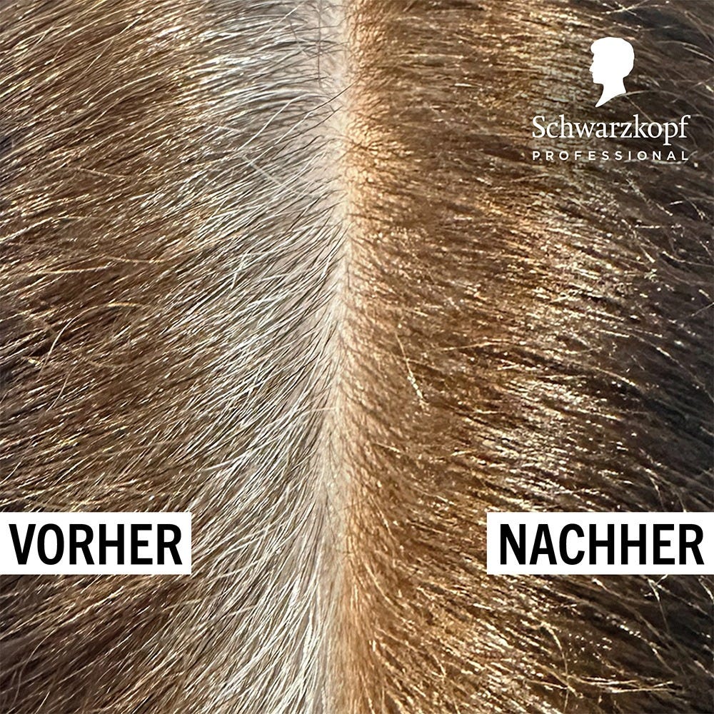 12072322-Farbe-6-0 Dunkelblond