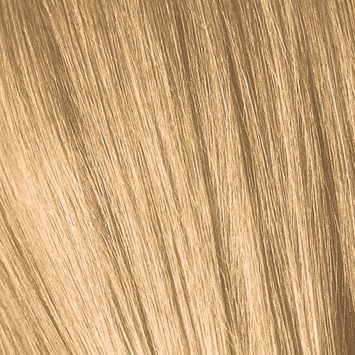 12072327-Farbe-9-5 Extra Hellblond Gold