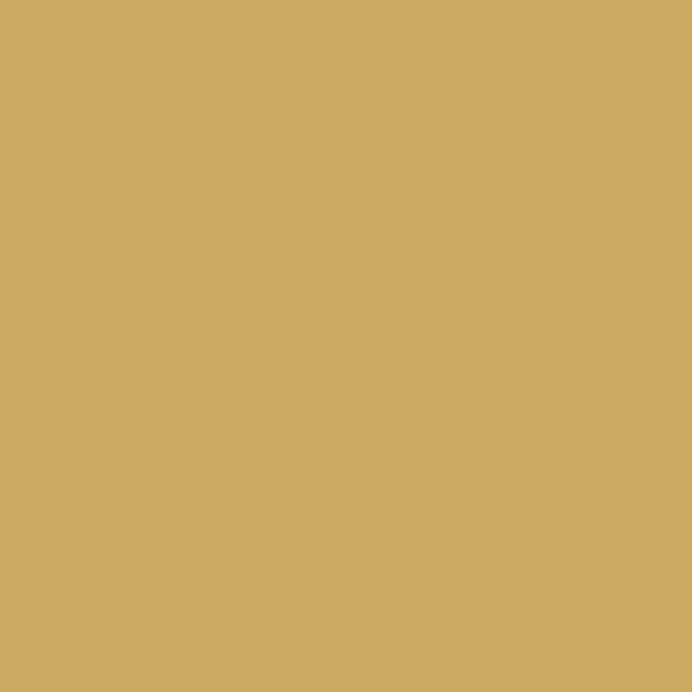 12074747-Farbe-Gold