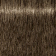 12080656-Farbe-7-24