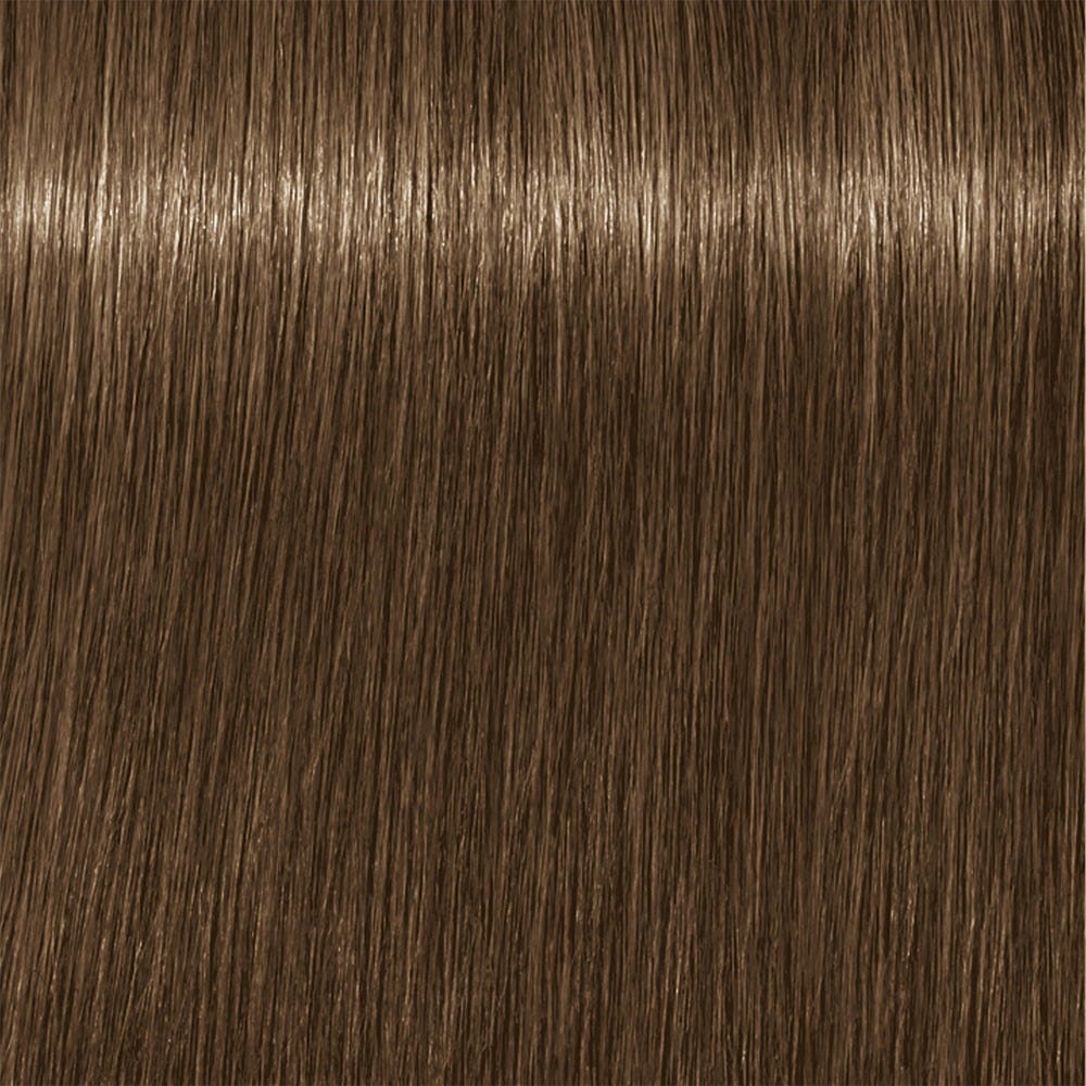 12080658-Farbe-7-42