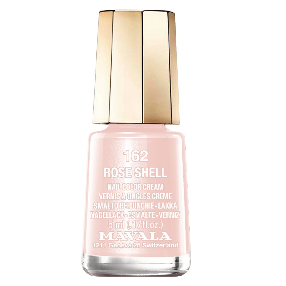 12082272-Farbe-Rose Shell