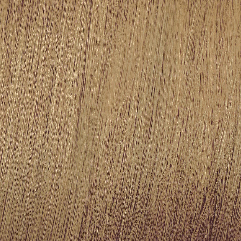 12083723-Farbe-10/00 intensiv platinblond