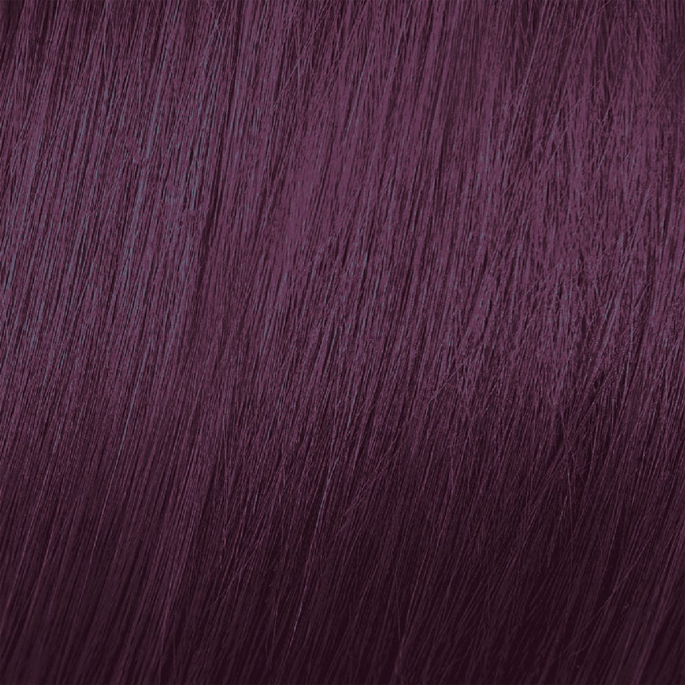 12083787-Farbe-Violett