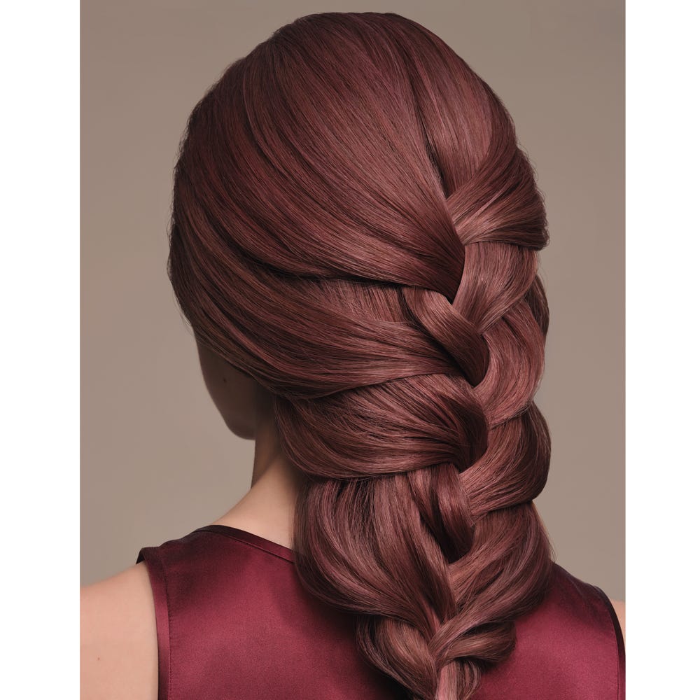 12086820-Farbe-Rose Blaze