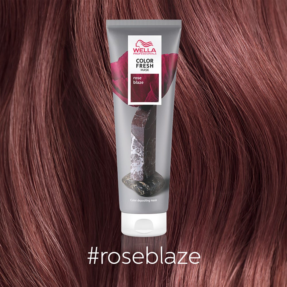 12086820-Farbe-Rose Blaze