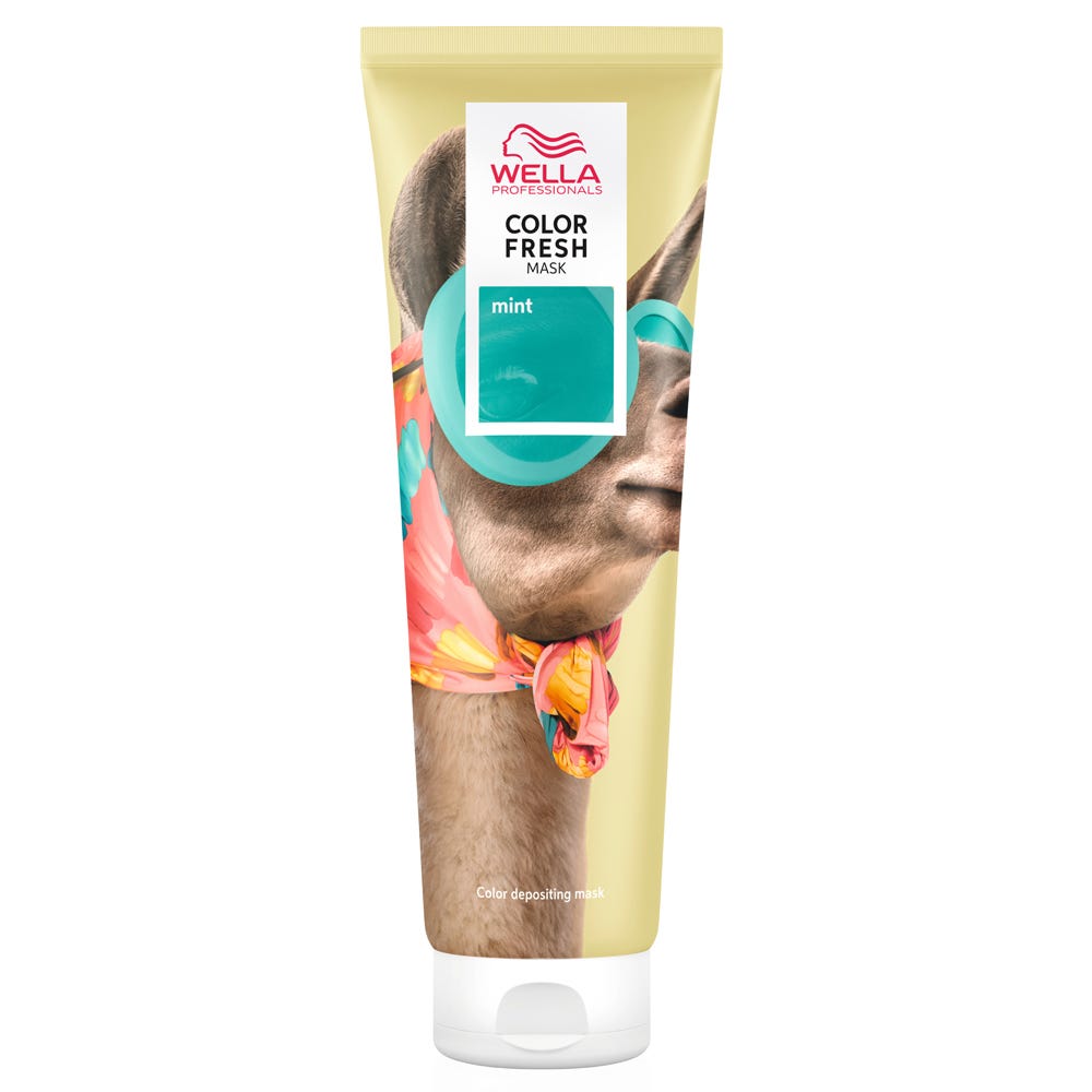 12086826-Farbe-Mint