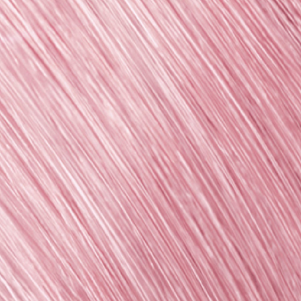 12086991-Farbe-Elumenated 10 rose