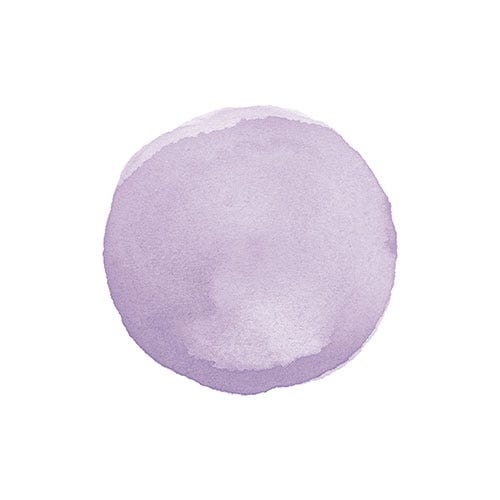 12089934-Farbe-Blueberry