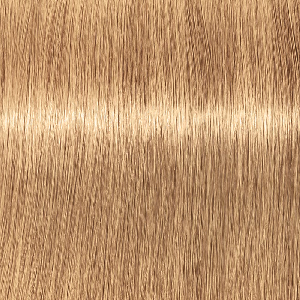12091405-Farbe-9-560