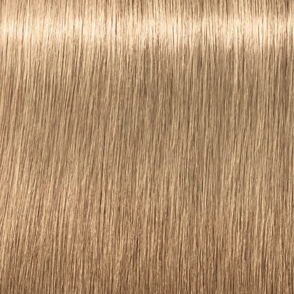 12095852-Farbe-8.03 Hellblond Natur Gold