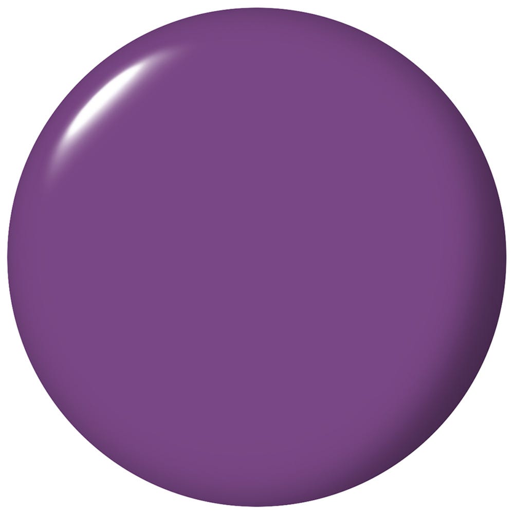 12096321-Farbe-Violet Visionary