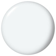 12096374-Farbe-Strong as Shell