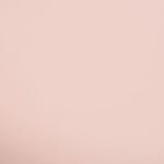 12099032-Farbe-The Beige of Reason