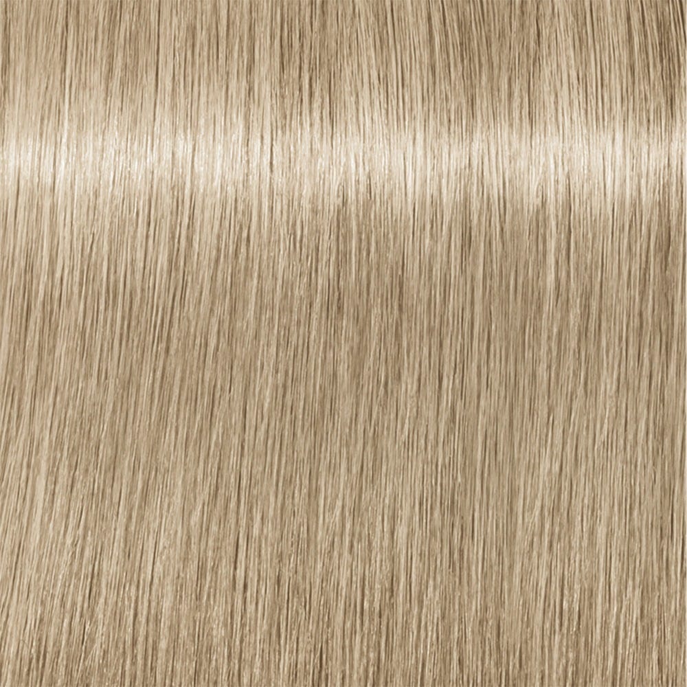 12100308-Farbe-Ash