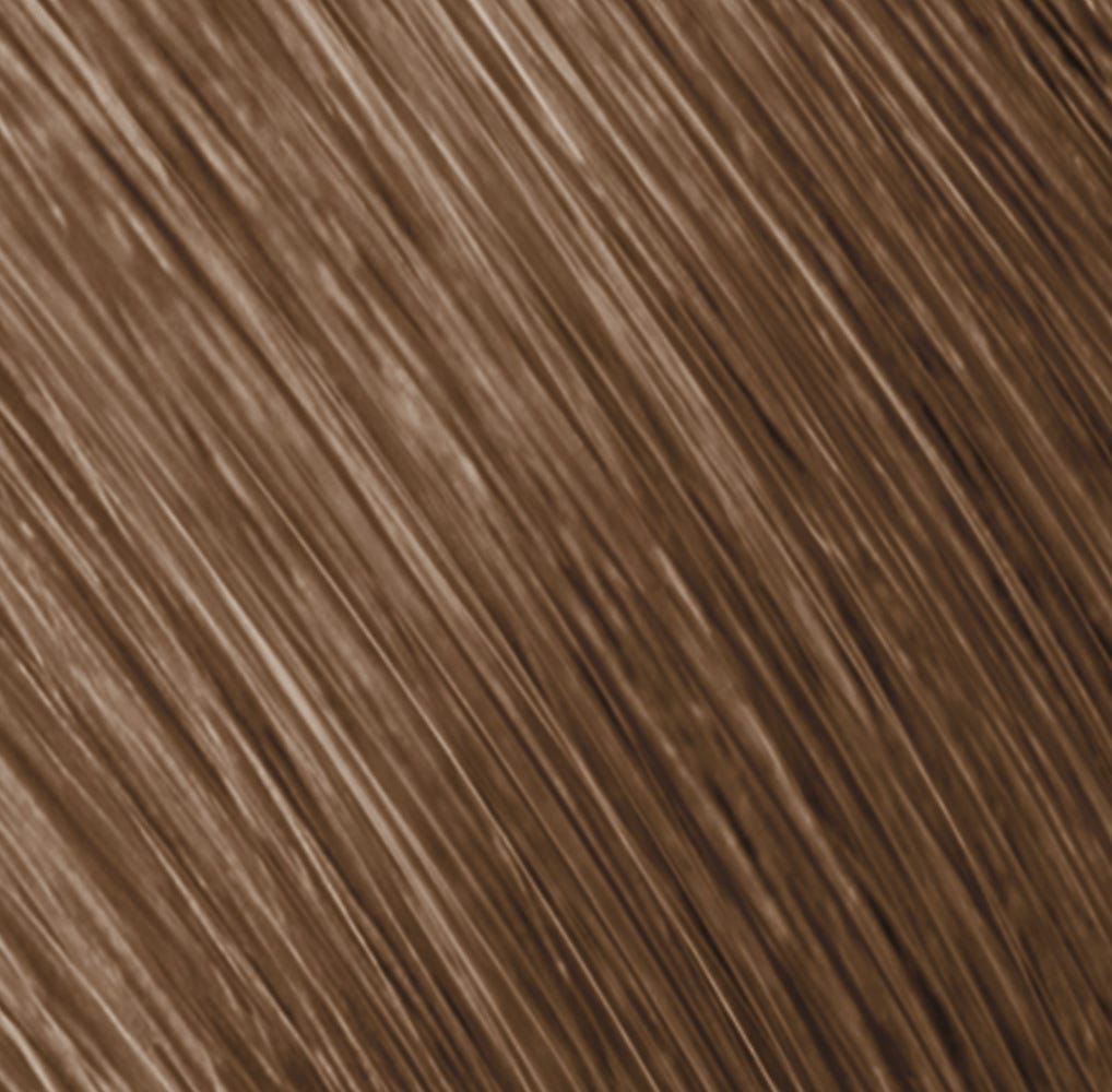 12100420-Farbe-7B Safari
