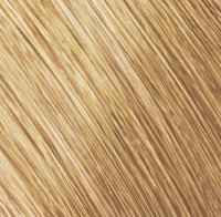10 BB Beige Rose