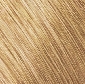 10 BB Beige Rose