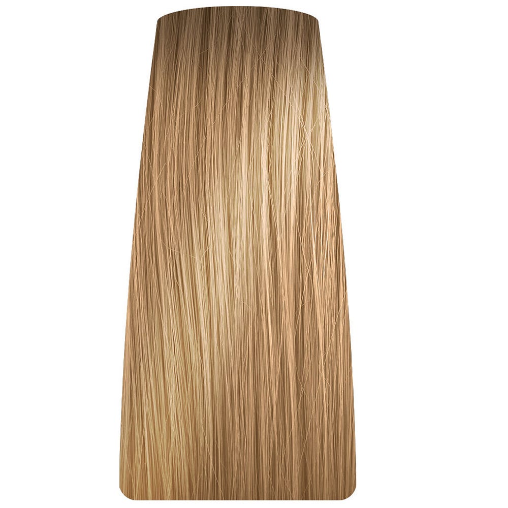 12106347-Farbe-9.3 Hell Hellblond Gold