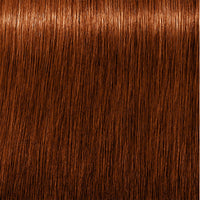 7.38+ Mittelblond Gold Schoko