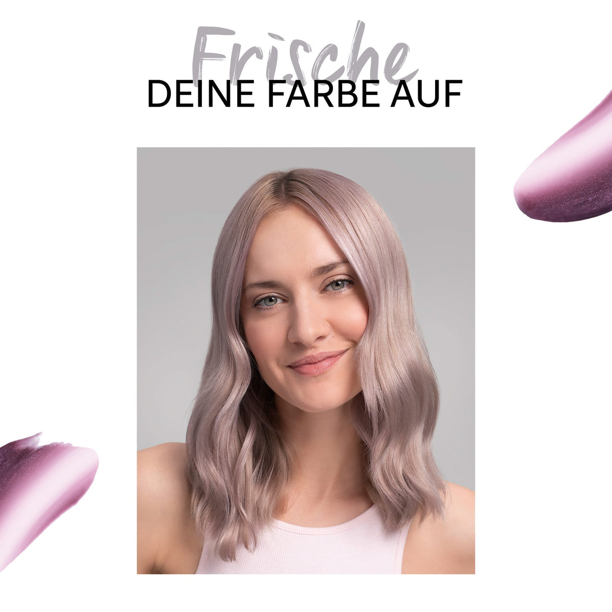 12113472-Farbe-Lilac Frost