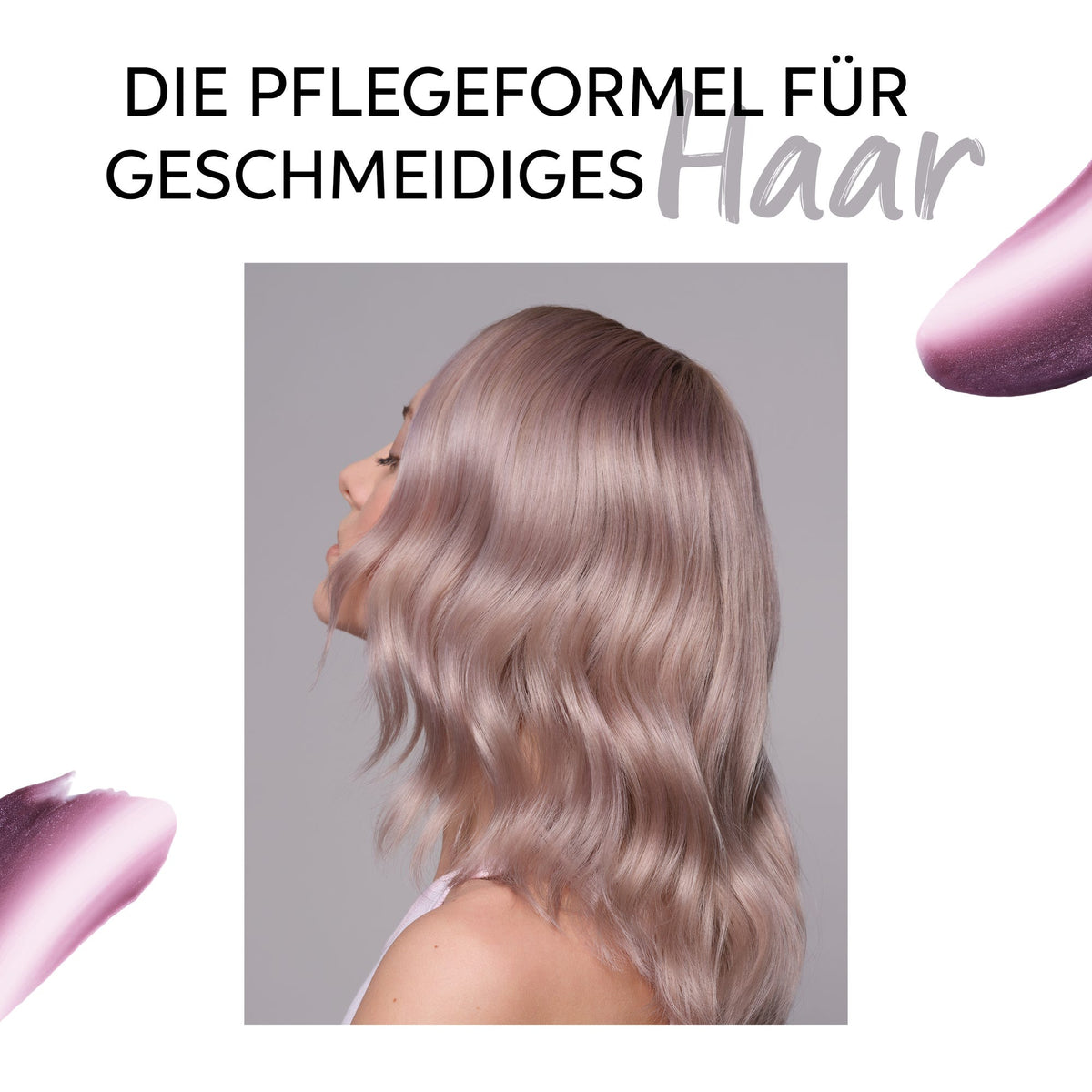 12113472-Farbe-Lilac Frost