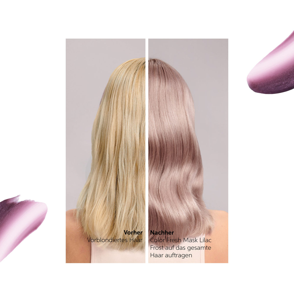 12113472-Farbe-Lilac Frost