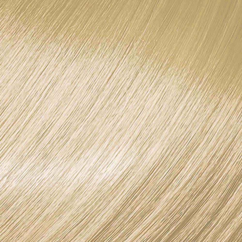 12118641-Farbe-10/81 Hell-Lichtblond Perl-Ash