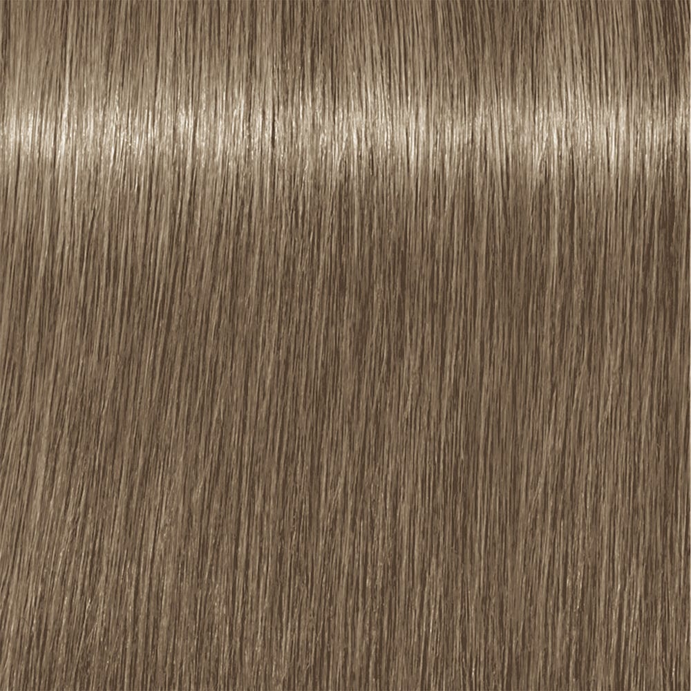 12118716-Farbe-9-42 Extra Hellblond Beige Ash