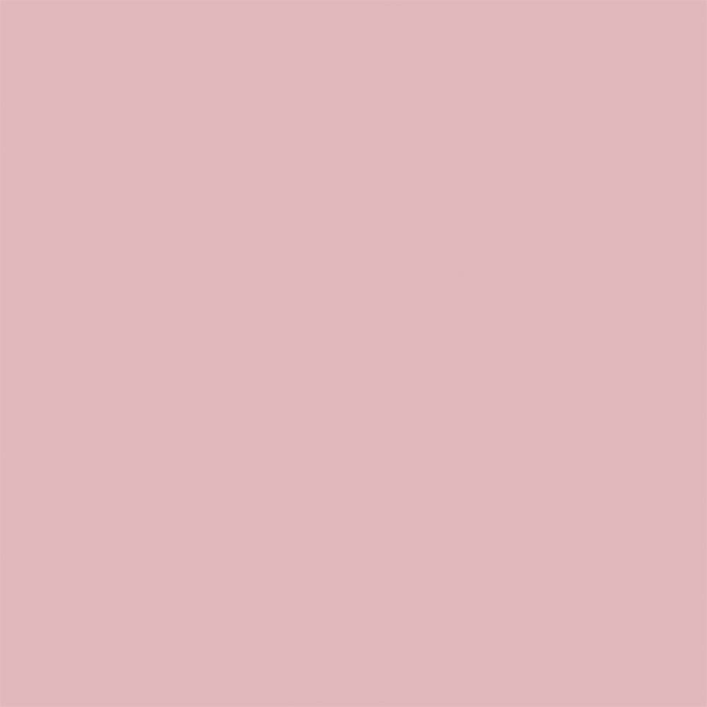 12119366-Farbe-Candy Pink 05