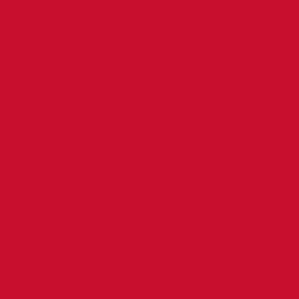 12119370-Farbe-Coral Red 48