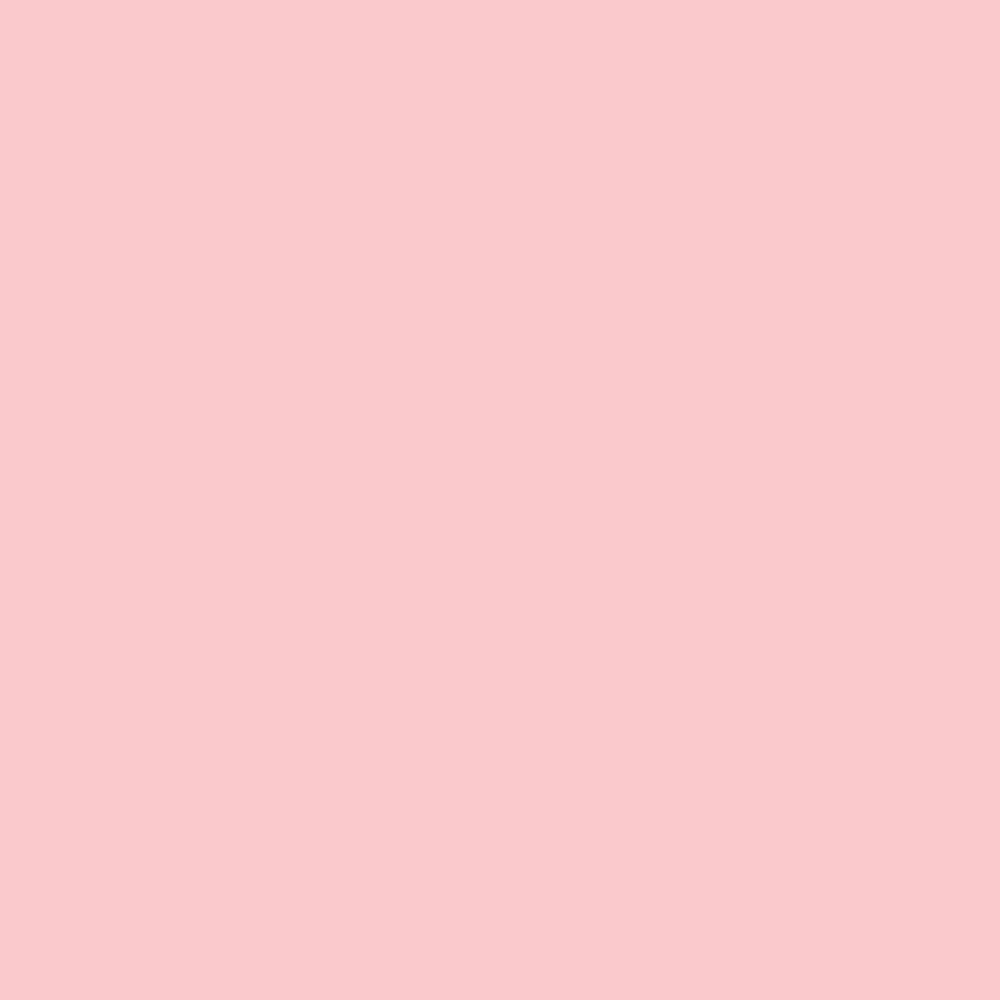 12120375-Farbe-Pretty Pink Perseveres