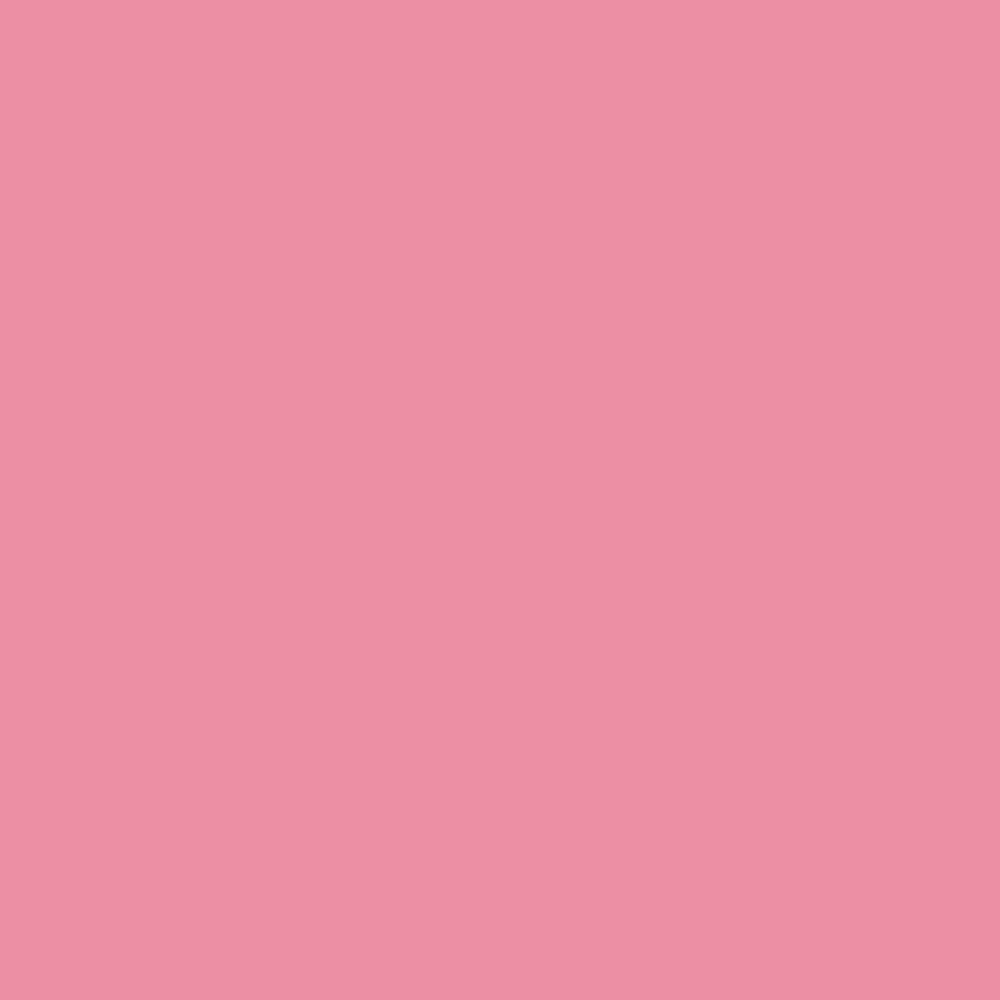 12120385-Farbe-Flamingo Your Way