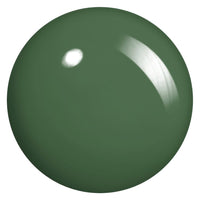 Happily Evergreen After