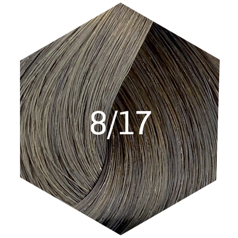 12121439-Farbe-8/17 Hellblond Asch-Blau Silber