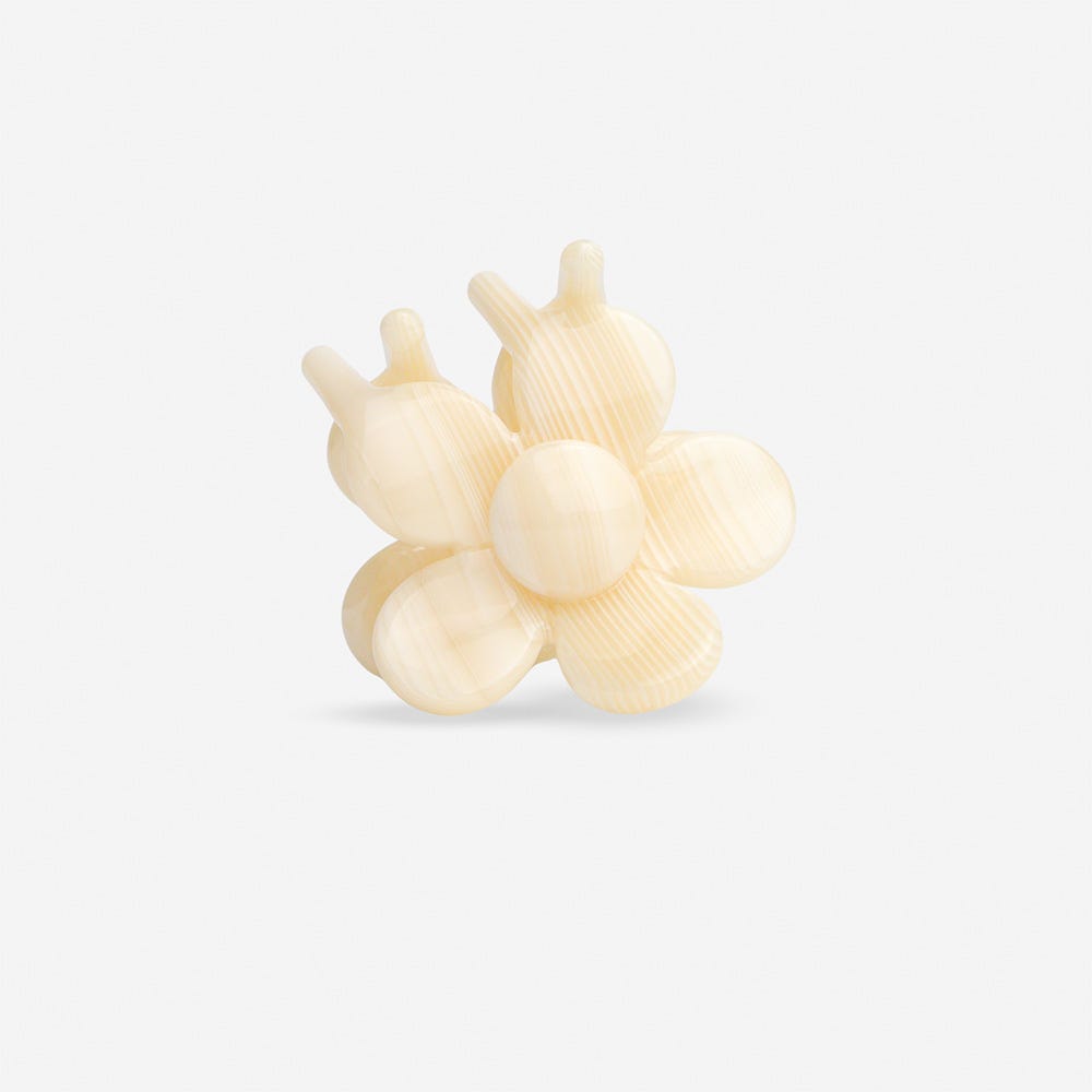 12122148-Farbe-Macadamia